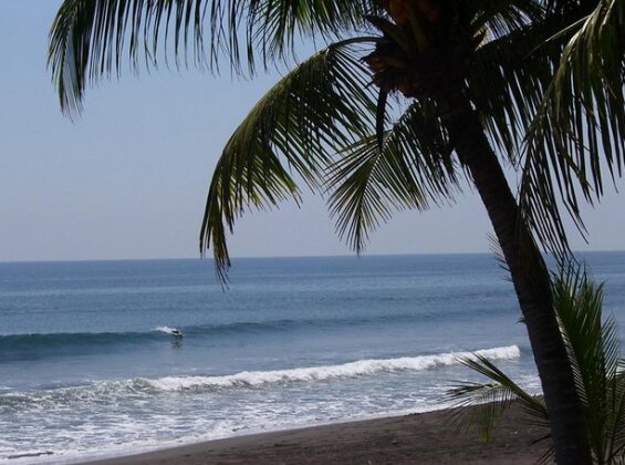 Hotel La Palmera - Photo5