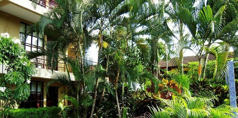 Suenos del Paraiso - Photo4