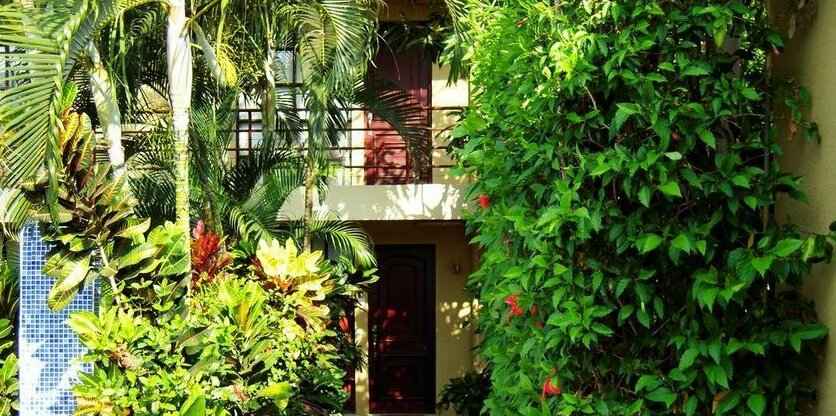 Suenos del Paraiso - Photo5