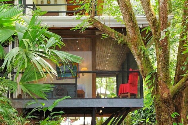 The Jungle House - Photo5