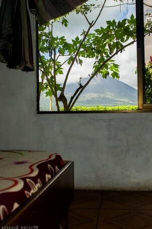 Cabinas Eco Zoo - Photo4