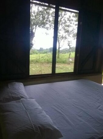Finca Iza - Photo4