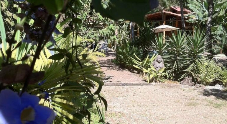 Congo Lodge - Photo3