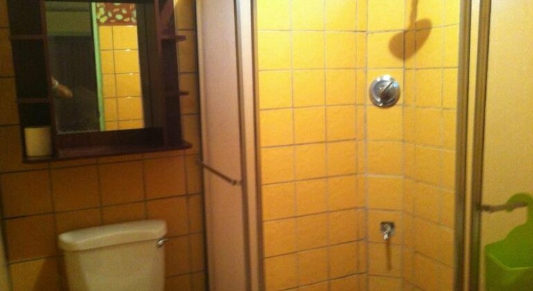Congo Lodge - Photo5
