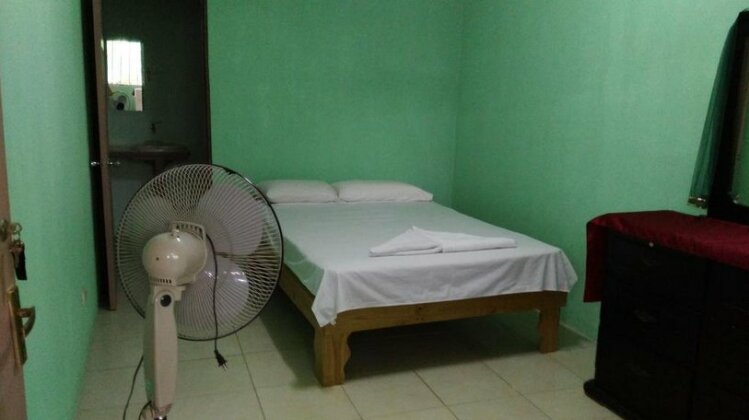 Blue Morpho House B&B - Photo4