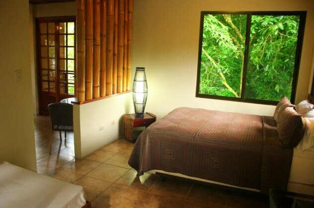 Jungle Vista Inn - Photo3