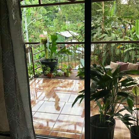 Rose house 2 - Photo5