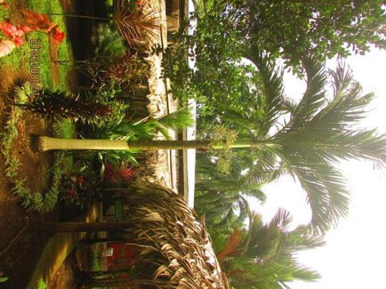 Cabinas Colibri - Photo5