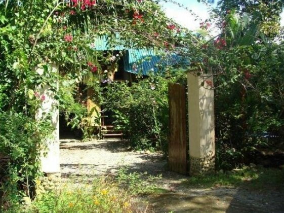 Photo 4