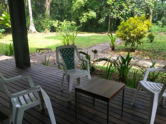 Monkey Palace - Photo2