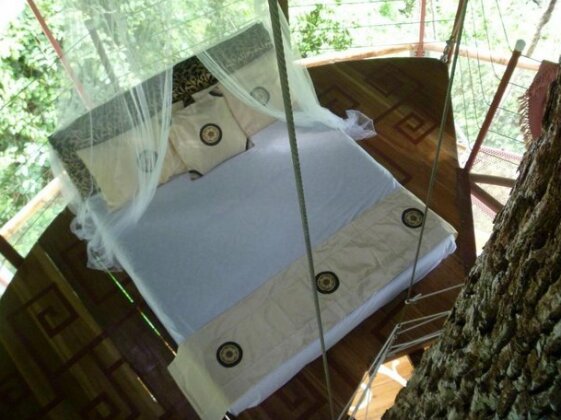 Nature Observatorio Treehouse Tours Manzanillo - Photo4