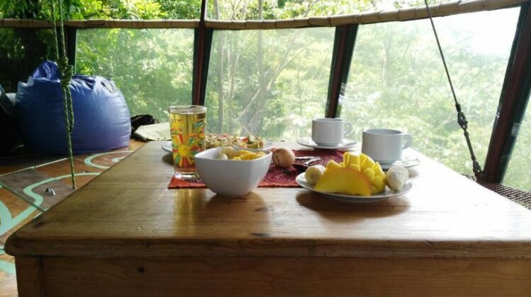 Nature Observatorio Treehouse Tours Manzanillo - Photo5
