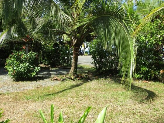 Pineapple house Manzanillo - Photo4