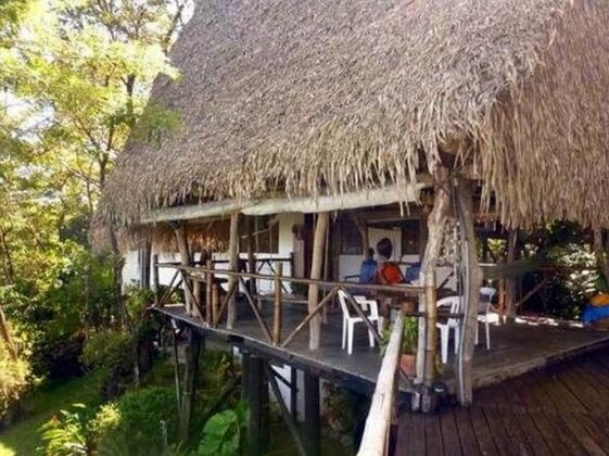 Treetops B & B Inn - Photo2