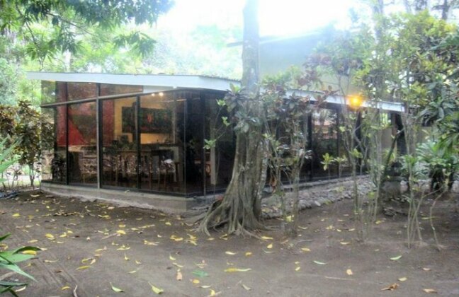 Charlie's Jungle House - Photo2