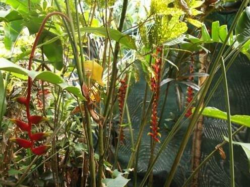 Our Casa Guesthouse - Photo5