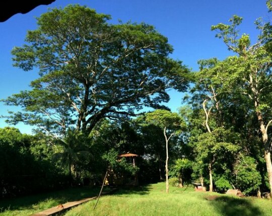 Miramar Lodge - Photo2
