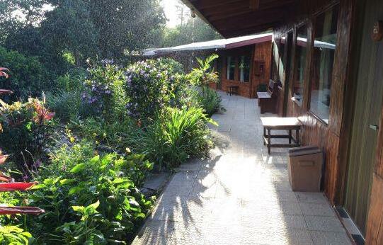 El Bosque Trails & Eco-Lodge - Photo5