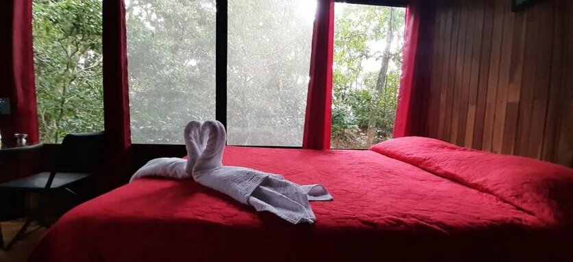 The Green Tree B&B - Photo2