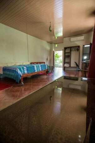 Blanconejo de Montezuma - Photo2