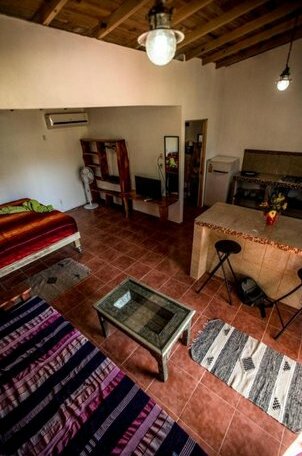 Blanconejo de Montezuma - Photo4