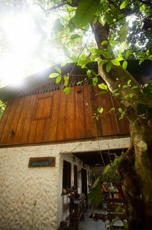 Luz En El Cielo Eco-B&B/Hostel