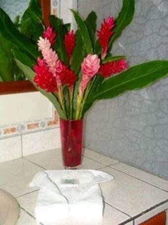 Harbor Reef Hotel - Photo3