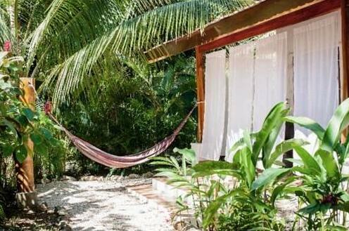 Living Hotel Nosara - Photo3