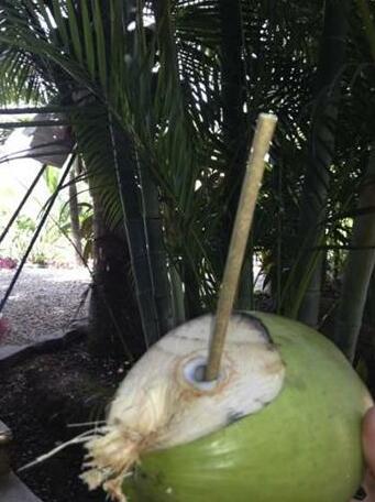Nosara Verde - Photo2