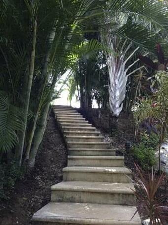 Nosara Verde - Photo3