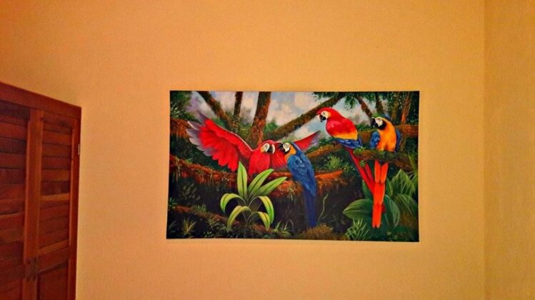 Ceiba Tree Lodge - Photo3