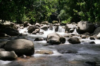 Buena Onda Jungle Lodge