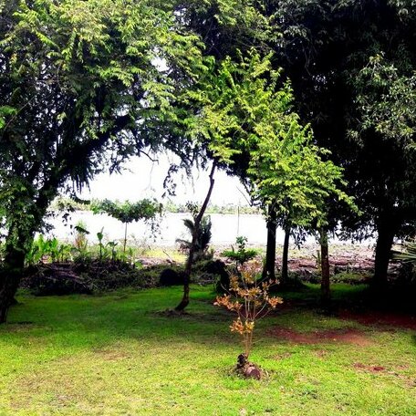 Cabinas Terra Mar - Photo5