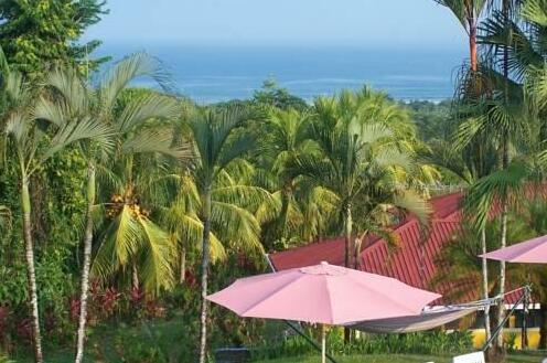 Lookout at Playa Tortuga - Photo4