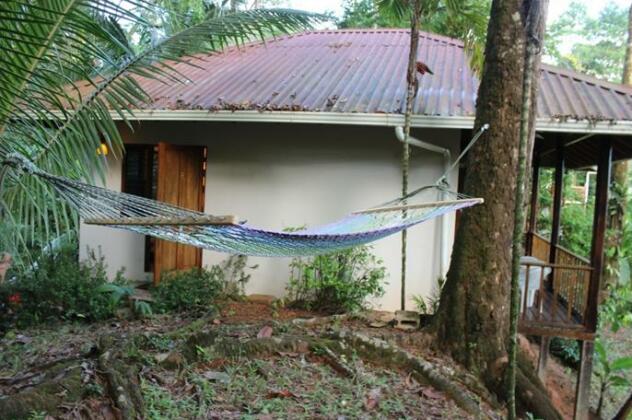 Villas de Oros - Photo2