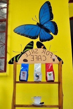 Hostel Del Cafe - Photo3