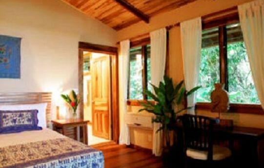 1property Offline - Photo2