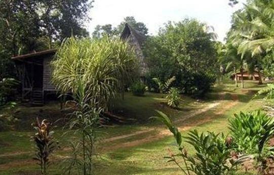 Suital Lodge - Photo3