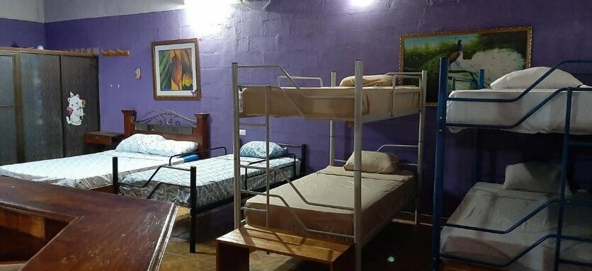 Mauras Tropical Mini Hostel - Photo3