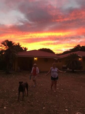Las Quintas Playas del Coco - Photo3