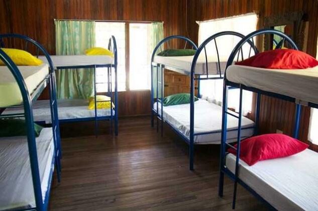 Pure Vibes Backpackers Resort - Photo4