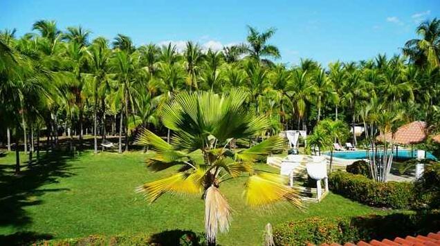 Pure Vibes Backpackers Resort - Photo5