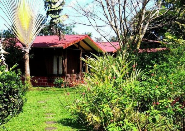 Cabinas Faro Arenal