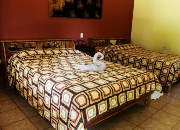 Cacao Lodge - Photo2