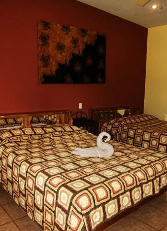 Cacao Lodge - Photo3