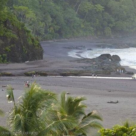 Daystar The Palms - Photo4