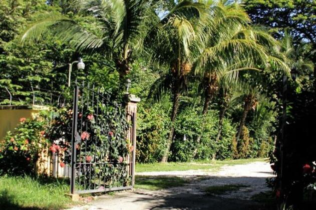 Hotel Isolina Beach - Photo5