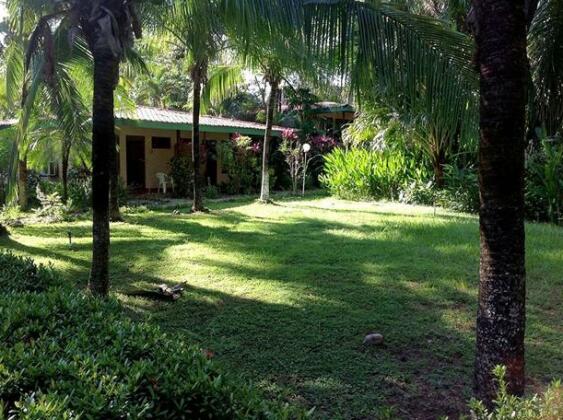 El Sueno Tropical - Photo2