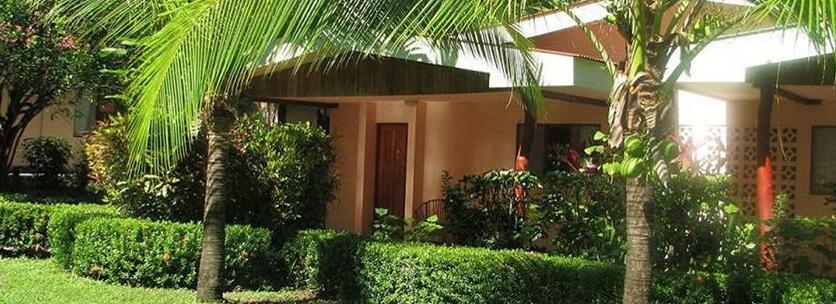 El Sueno Tropical - Photo5