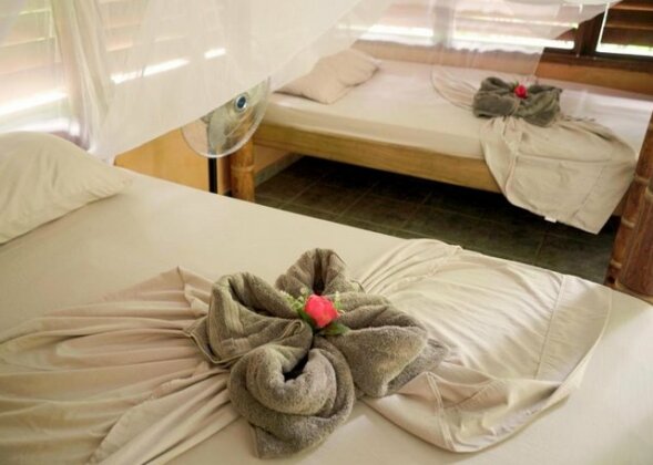 Amazonita Ecolodge - Photo5